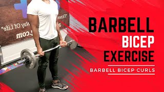 Exercise Barbell Bicep Curls