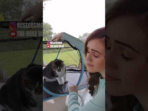 اقتباس أسبوعي الحلقة 84