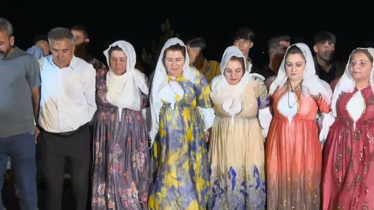 Vedat katar düğünü hılawetın (serdem müzik)