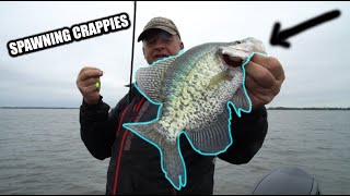 Early Spring Crappie Fishing Tips