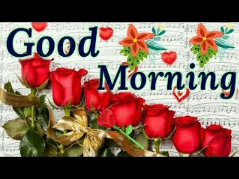 GOOD MORNING Video