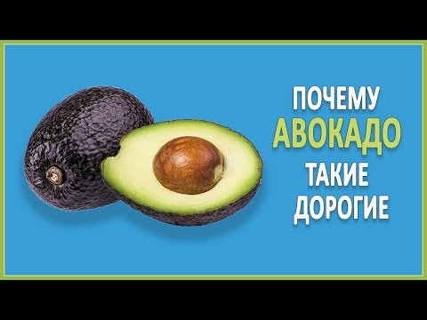 Почему авокадо такие дорогие