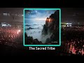Theodor jasper - Dreamer (Original Mix) - #melodichouse #thesacredtribe