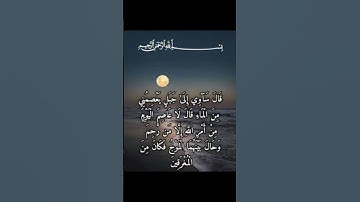 سورة هود #allah #muslim #qran #القرآن_الكريم #صلى_الله_عليه_وسلم #الله