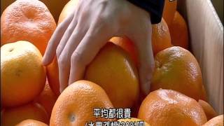 20160321 公視手語新聞 寒害土產水果狂飆 香蕉創20年新高