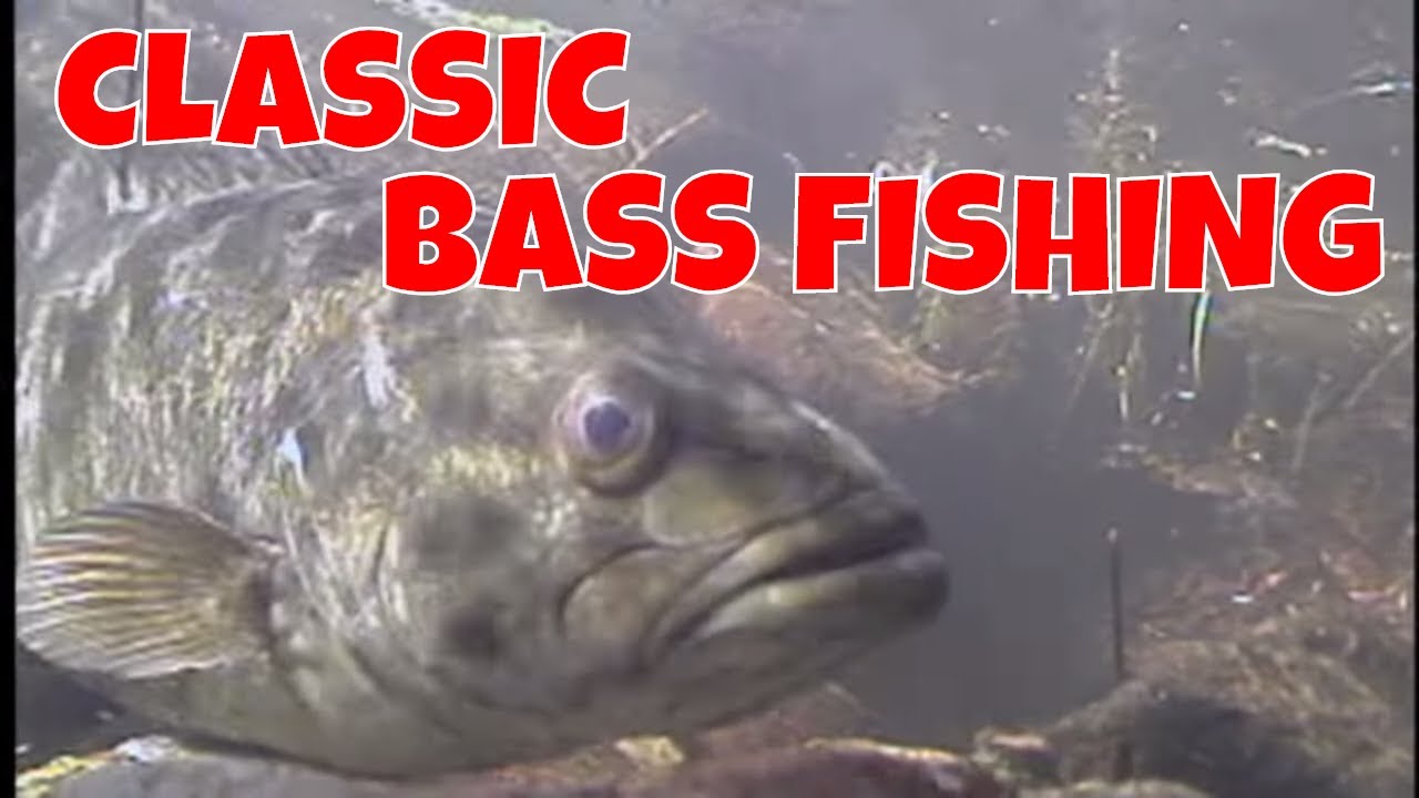 Classic Bass Fishing YouTube