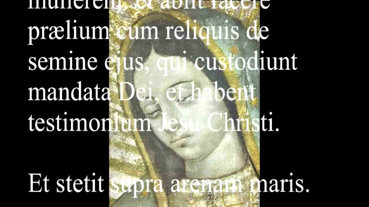 Woman Clothed With The Sun --- Revealtion 12 - YouTube