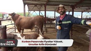 Kurban Pazarında Fiyatlar Yüksek, Umutlar Arife Gününde