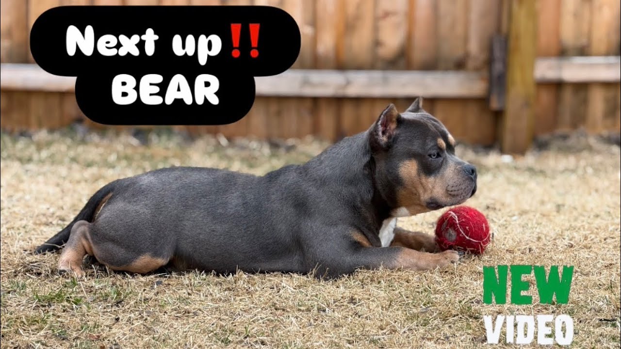 NO BLACK BALLING/NO WINDOW SHOPPERS