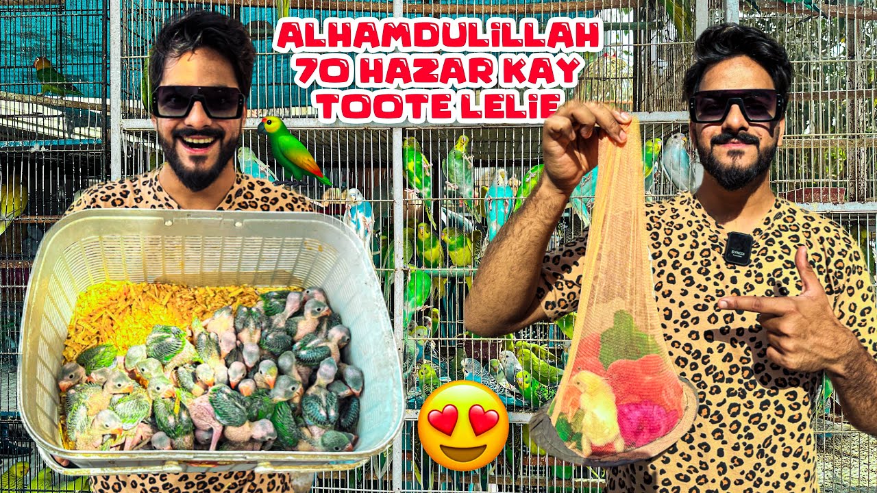 ALHAMDULILLAH 70 HAZAR KAY BIRDS LELIE😍 | MISHKAT KHAN | THE FUN FIN