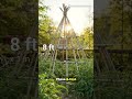 Bamboo poles for sale