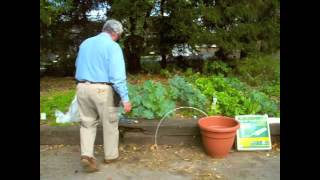 Protecting your plants from frost