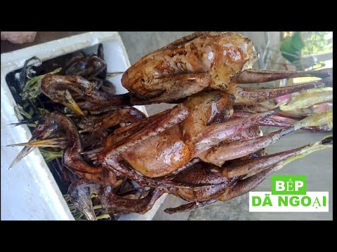 Video Cò Vạc Um Khế - Độc Lạ - Món Ngon Cho Mùa Đông | HOW... - youtube