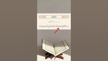 تصحيح قراءة آيه 37 من سورة محمد - القارئ محمد ايوب