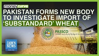 Pakistan Forms New Body To Probe ‘Substandard Wheat’ Import | Dawn News English