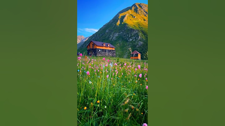 Places in Georgia that don’t feel real 🤯 #travel #adventure #explore #nature #georgia