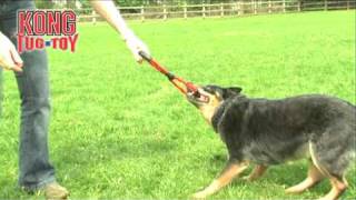 Kong Tug Toy - Pocurull -