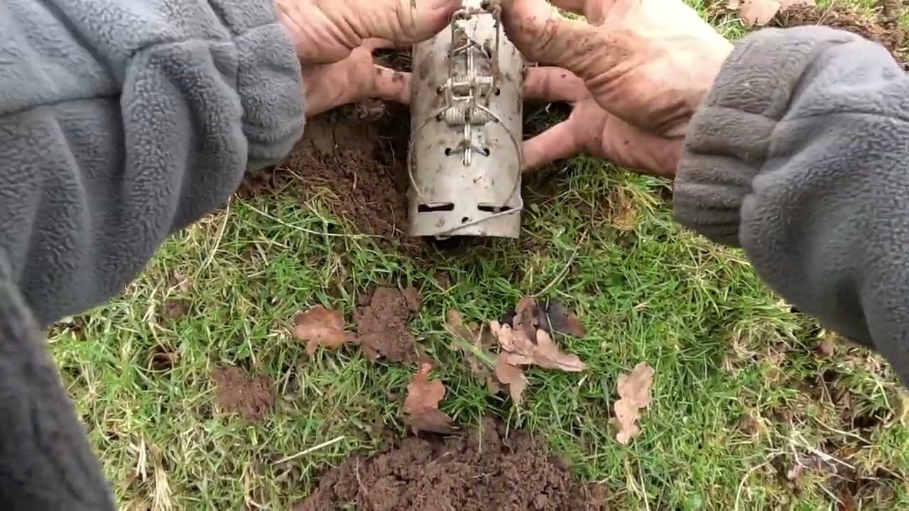 Mole trapping, how to set a tunnel trap.