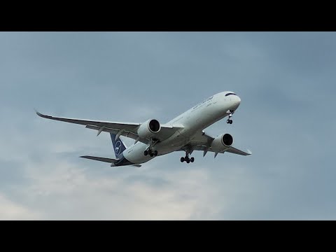 2025 Plane Spotting Trip at the Chicago O' Hare airport (lots of Heavies)
