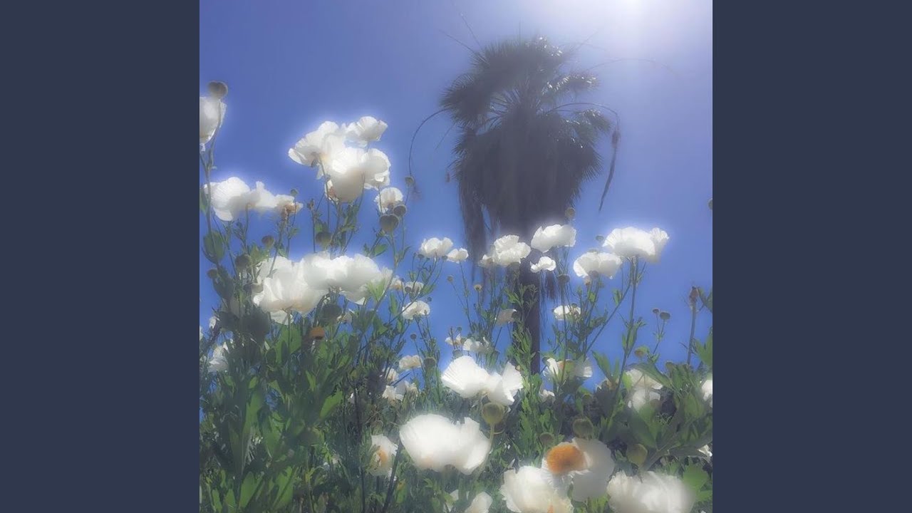 Watch Issues on YouTube Watch Issues on YouTube