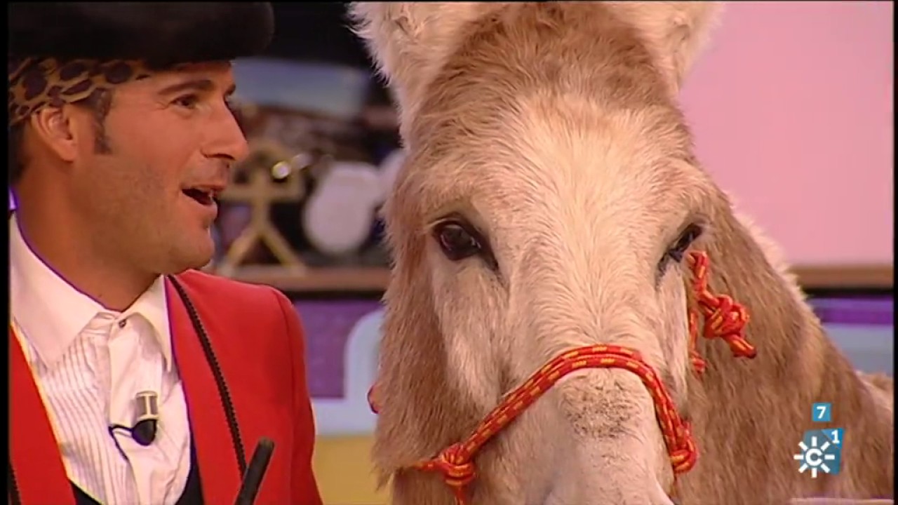 La tarde aquí y ahora | Viernes 18 de noviembre