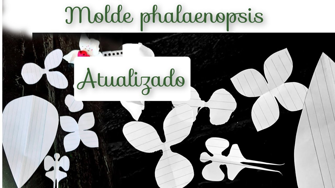 como fazer o molde da orquídea phalaenopsis, atualizado,  