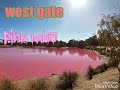 Lake pink - melbourne