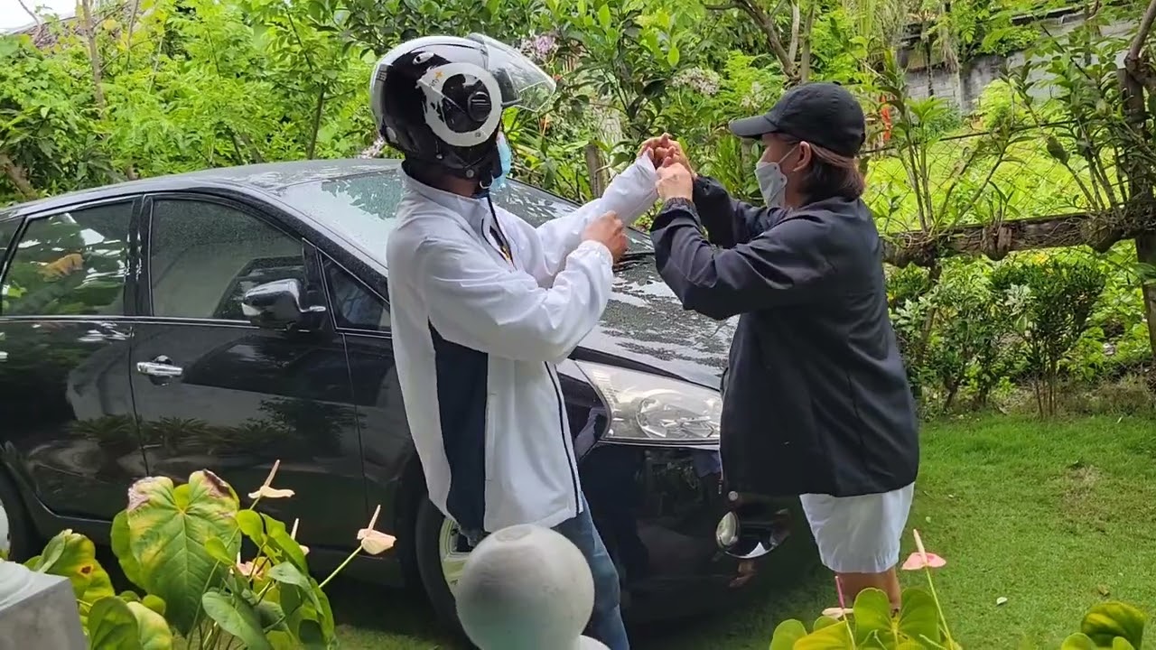 Beautiful Tropical Plants in Philippine Countryside. YouTube