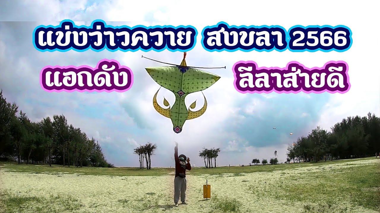 แข่งว่าวควาย  สงขลา2566