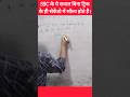 ये सवाल चुटकियो में सॉल्व होते है #शोर्ट्स  #ytshorts #maths #education #ssc #shorts #mathmatics