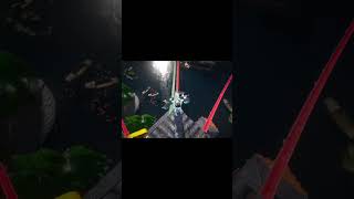 Is This the Most Beautiful Game World Ever? ⛩️ #shorts #viral #gaming #game #wherewindsmeet