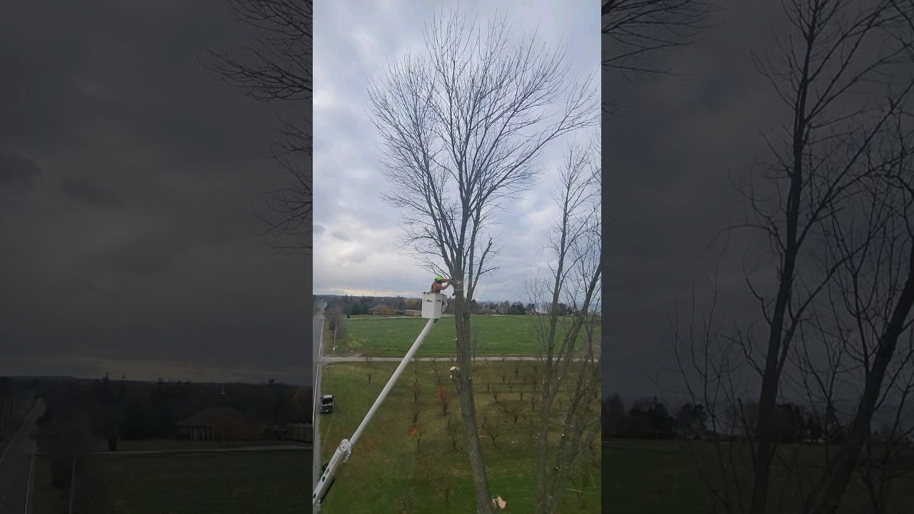 Tandem-Bucket Ash Removal 