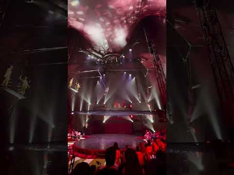 Lindo espetáculo do Circo do Tiru