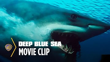 Deep Blue Sea | Shark Escape | Warner Bros. Entertainment