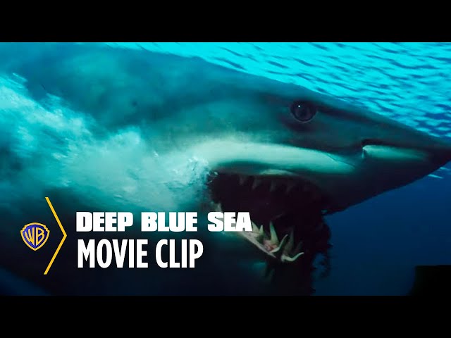 Watch film Deep Blue Sea | Shark Escape