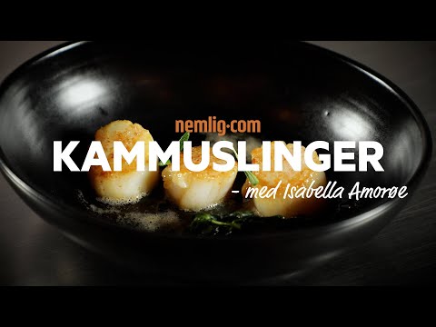 Video: Sådan Spiser Du Kammusling