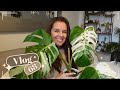 Graine danthurium alocasia jacklyn projet crochet vlog 68