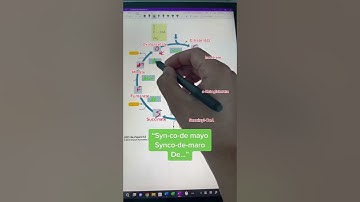 Memorize the #krebscycle in 60s! 🔄 #premed #medschool #biochemistry #krebs #medstudent #physiology