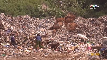 Xử lý dứt điểm chất thải rắn sinh hoạt đang tồn đọng tại khu vực Bãi Nhát, Côn Đảo | BRTgo