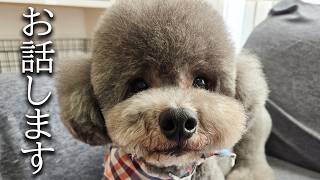 残念ですが本当にお休みすることになりました...