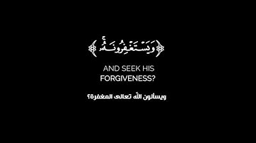 كروما شاشه سوداء قرآن كريم 🌿تلاوة من سورة المائدة 🌿القارئ ناصر القطامي 🌿
