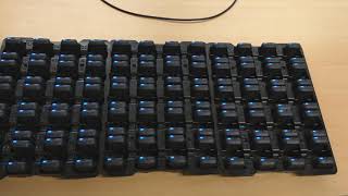 120 ProMove-mini nodes blinking in sync