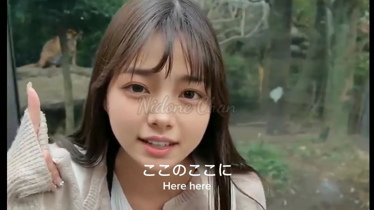 こんにちは、ダーリン。引き続きフォローしてくださいね。今回は動物たちを紹介します🥰