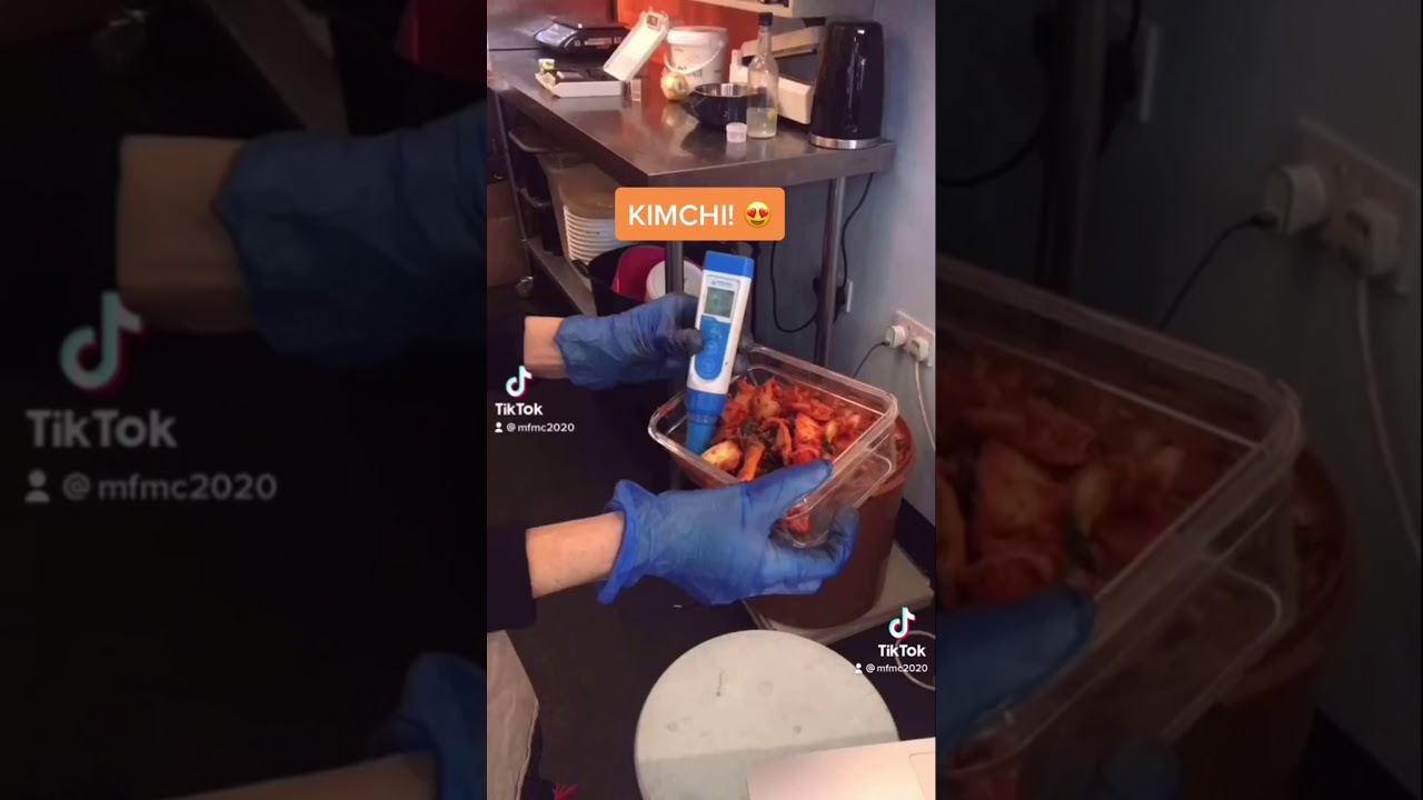 Fermented Food Maker - Engineering Curiosity - DETI Inspire