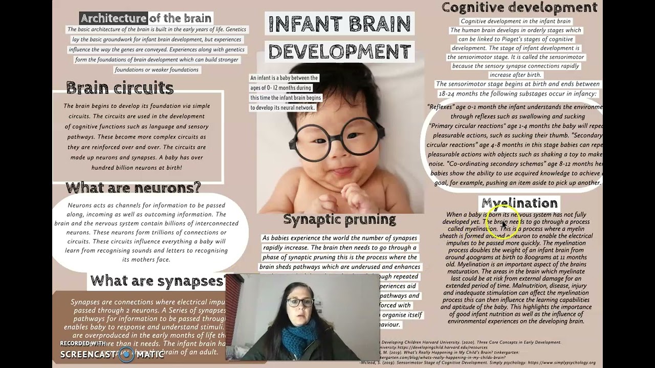 Unveiling the Wonders of Infant Brain Development: A Parental Informational Session