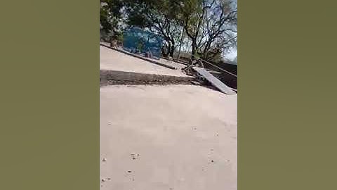 How To Trap Monkeys | Man Traps And Catches Many Monkeys Monkey Trap Skill