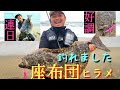 【神回】来たよ～×2！大物ヒラメ‼️遂にやりました～座布団ヒラメ自己記録更新！