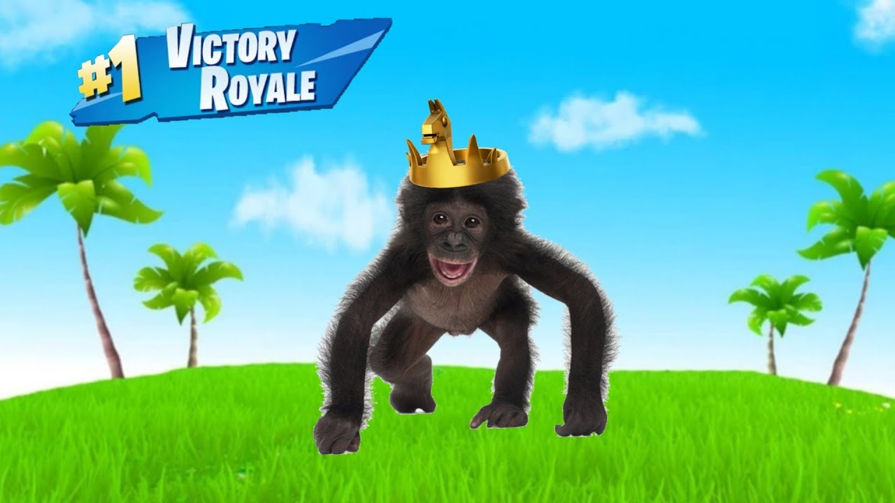 SNAG Plays Fortnite ALONE! (battle royale)