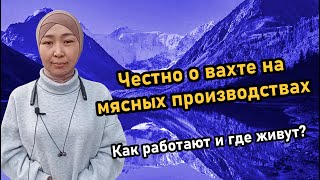 Честно о вахте на мясных производствах. Как работают и где живут?