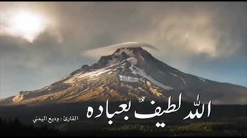 ✿   ‏﴿ الله لطيف بعباده يرزق من يشاء ﴾ القارئ وديع اليمني